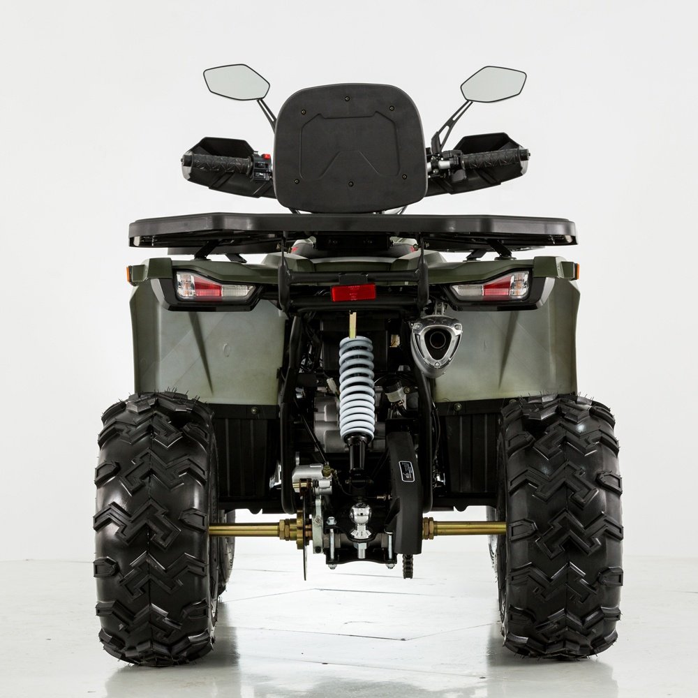Tao Motor 200cc Motorcycle 125cc Automatic 36V Front & Rear Disc Brake Atv 125cc Quad Bike Electric Start Chain Drive Atv 125