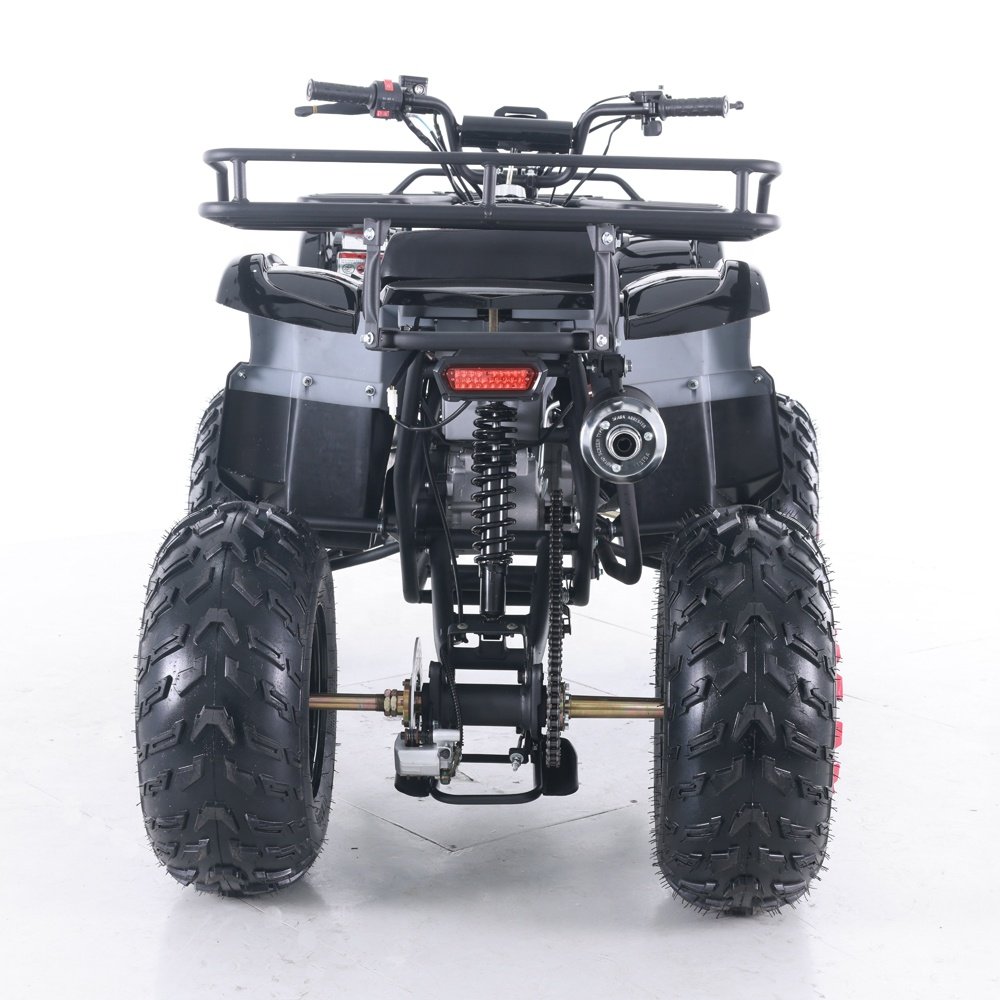 Tao Motor 150cc 200cc Farm Motorcycle Quad Bike ATV for Sale Quad 1000cc Automatic Electric Start Atv 125cc Kids Atv Gas 125cc