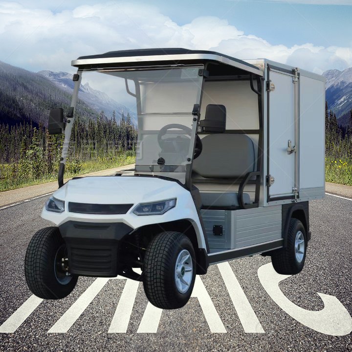 Electric Utility Vehicle 2 Seats Large Capacity UTV Large Volume Dining Car Electric UTV Delivery Vans For Sale