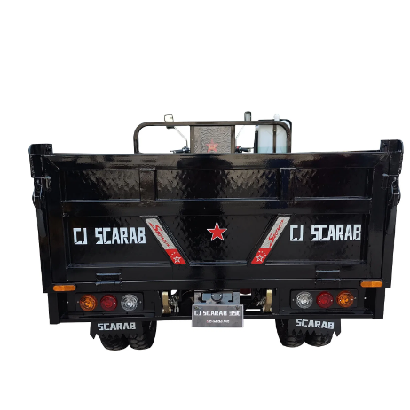 250cc Gasoline Tricycle Cargo Tricycle Three Wheels Motorcycle