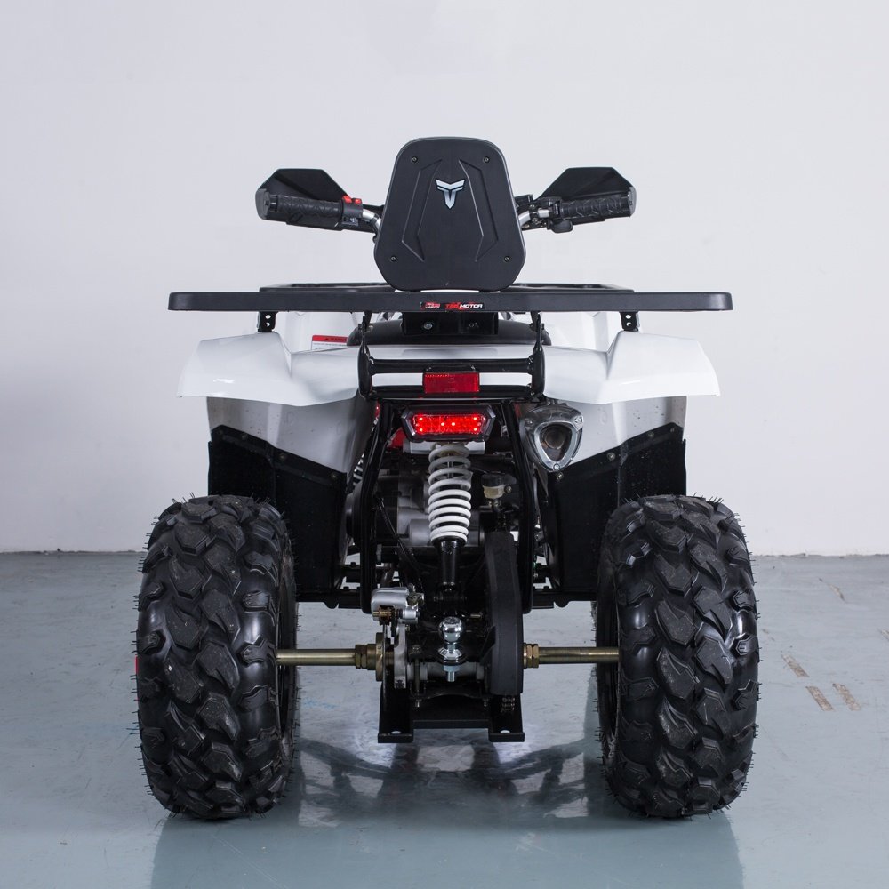 Tao Motor 200cc Quad 1000cc Automatic 36V Atv 125cc Quad Bike Electric Start Utv 4x4 1000cc Chain Drive Rear Disc Brake 10inch