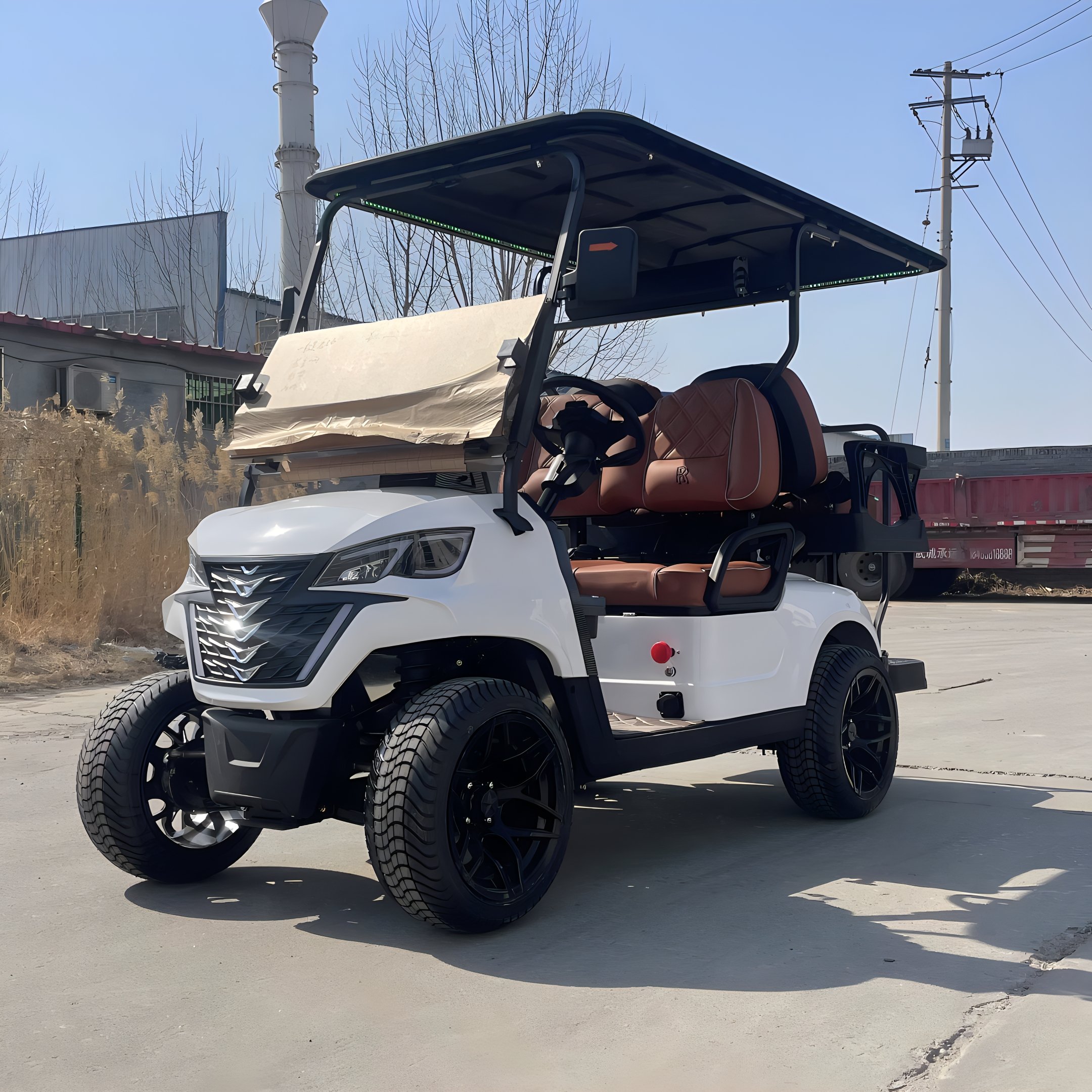 2024 New Mini Electric Golf Cart with 4+2 Seats EEC/DOT Certified 8-Passenger Buggy Club Car