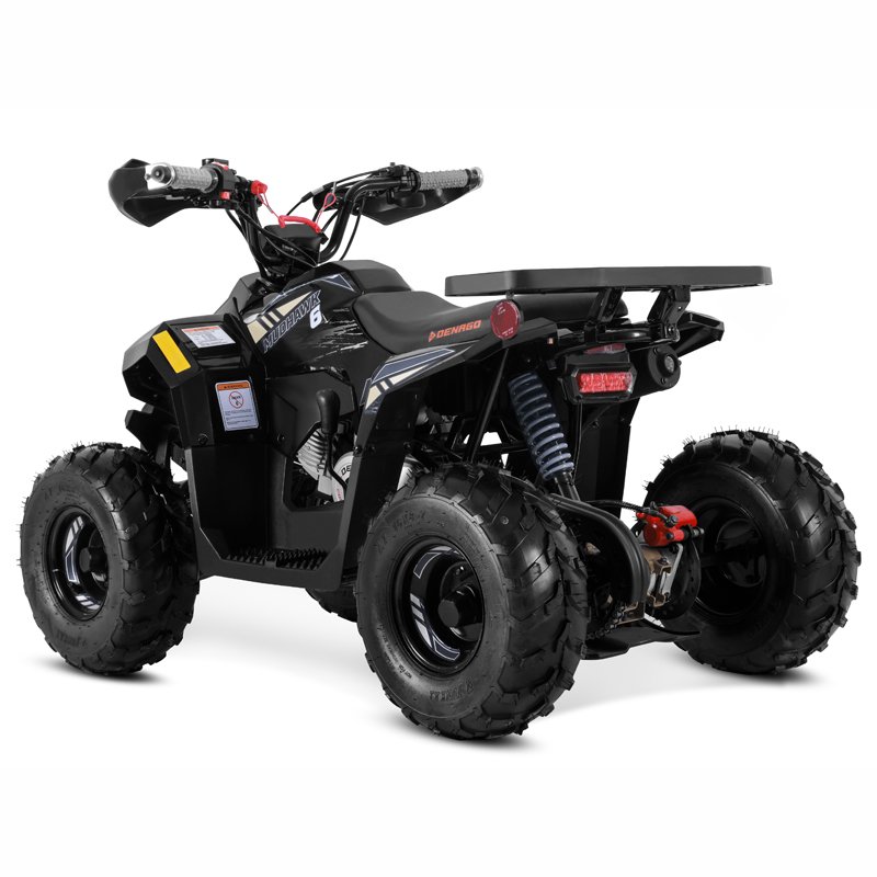 Tao Motor 2025 New Automatic 1+1 Quad Bike Cuatrimoto Cheap Chinese Kids 110cc ATV with EPA CE