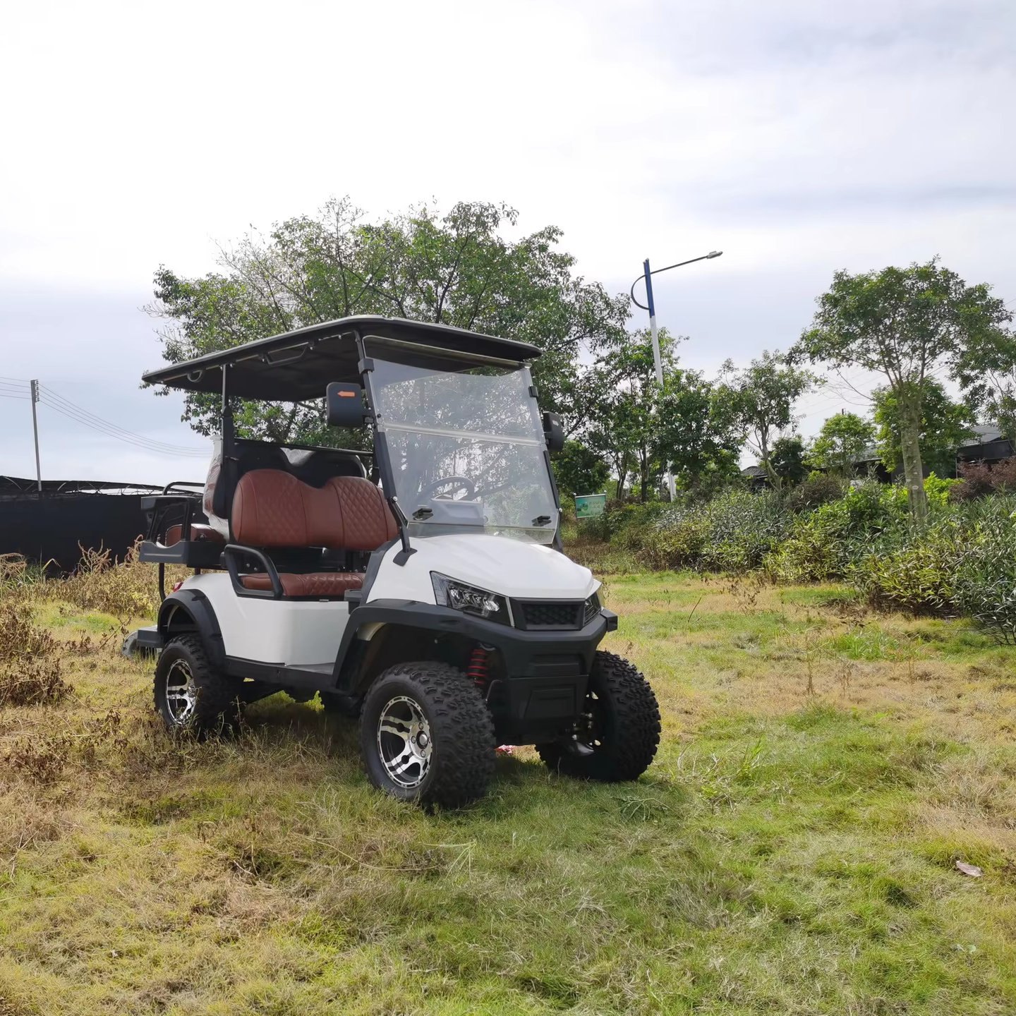Popular Electric Golf Cart Lifted Vehicle