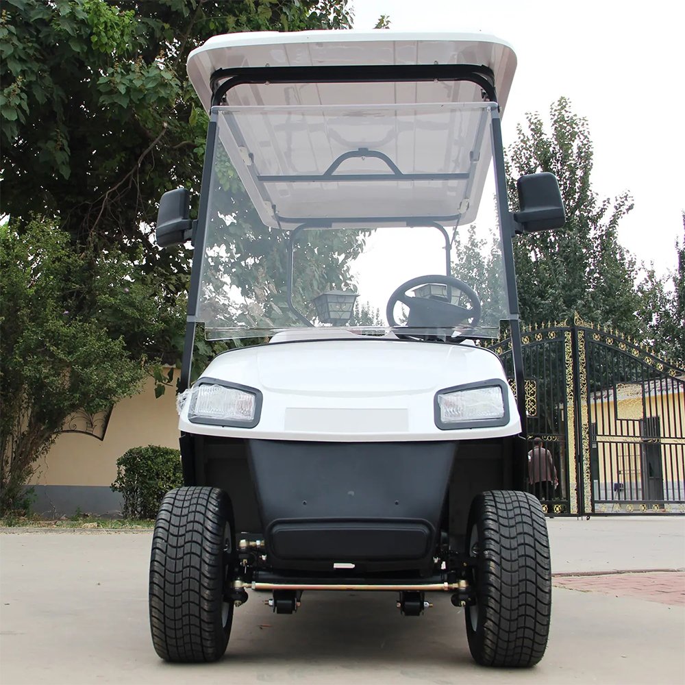 China ATV Electric Golf Mini Car UTV Cart with CE Electric Vehicle