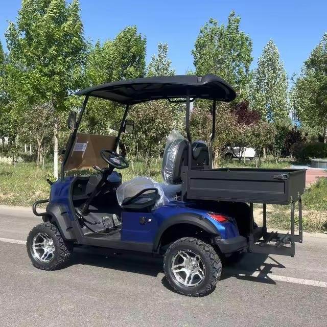New 4+2 Seat Electric Touring Car Club Car Electric Golf Cart Classic Hunting Cart For Sale