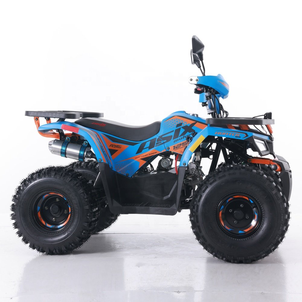Tao Motor 2024 New ATV 125 Cheap Chinese Cuatrimotos Automatic Chain Drive Farm ATV 125cc ATV