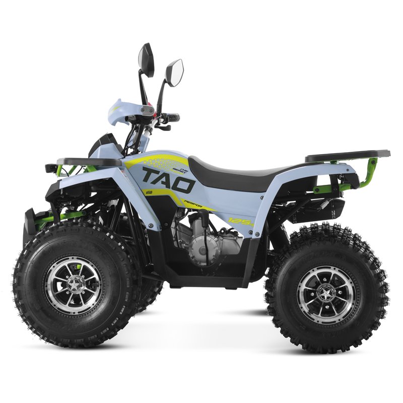 Tao Motor 2025 New Alloy Rim Chain Drive Automatic w1+1 125cc ATV Chinese Cheap Farm ATV 125