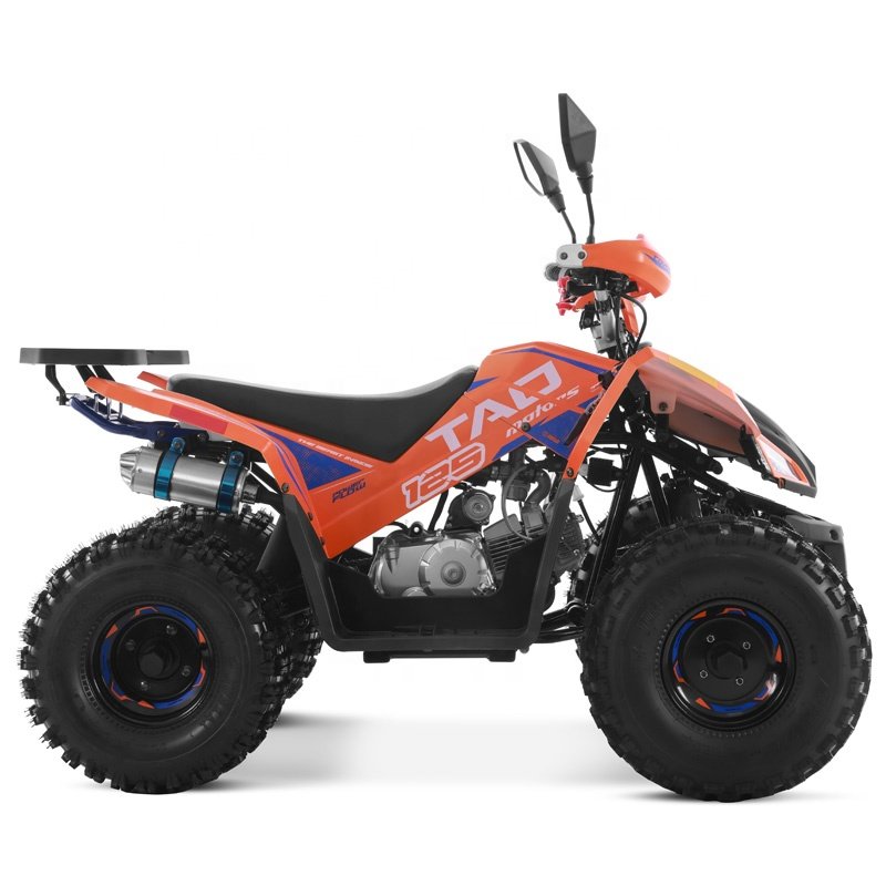 Tao Motor 2024 New atv/utv parts Sport Quad Bike 110cc 125cc ATV 125