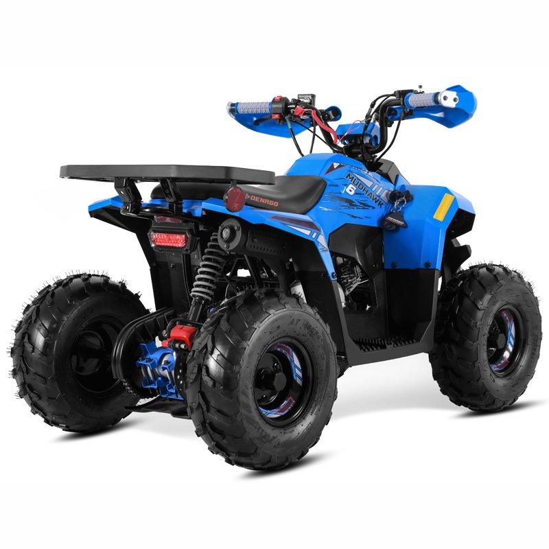 Tao Motor 2025 Chinese Cheap New Quad Bike Kids ATV 110cc with EPA CE
