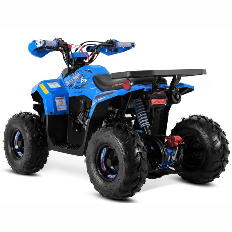 Tao Motor 2025 Chinese Cheap New Quad Bike Kids ATV 110cc with EPA CE
