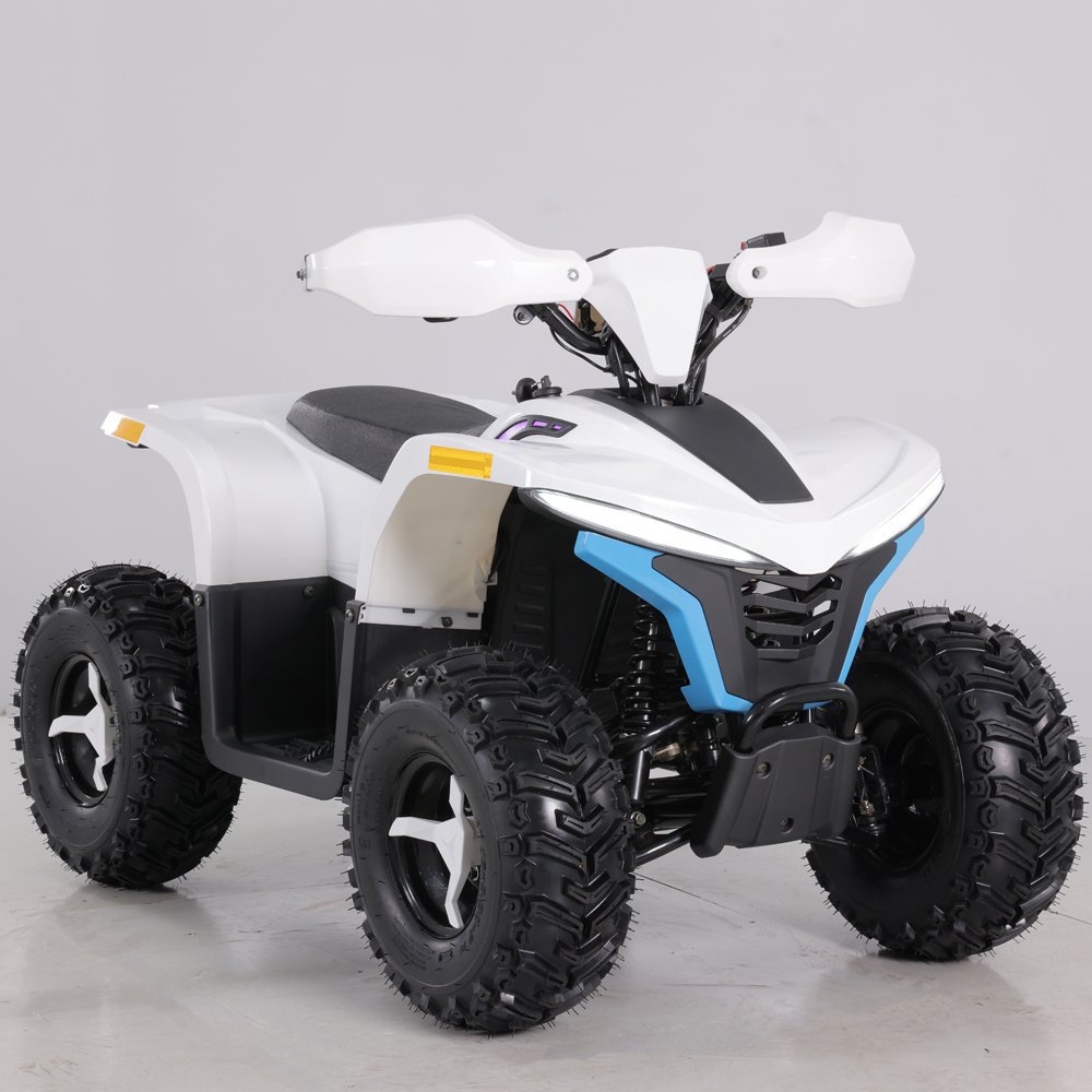 Tao Motor 2023 Latest Design 48V 1600W Teenage Kids ATV Electric