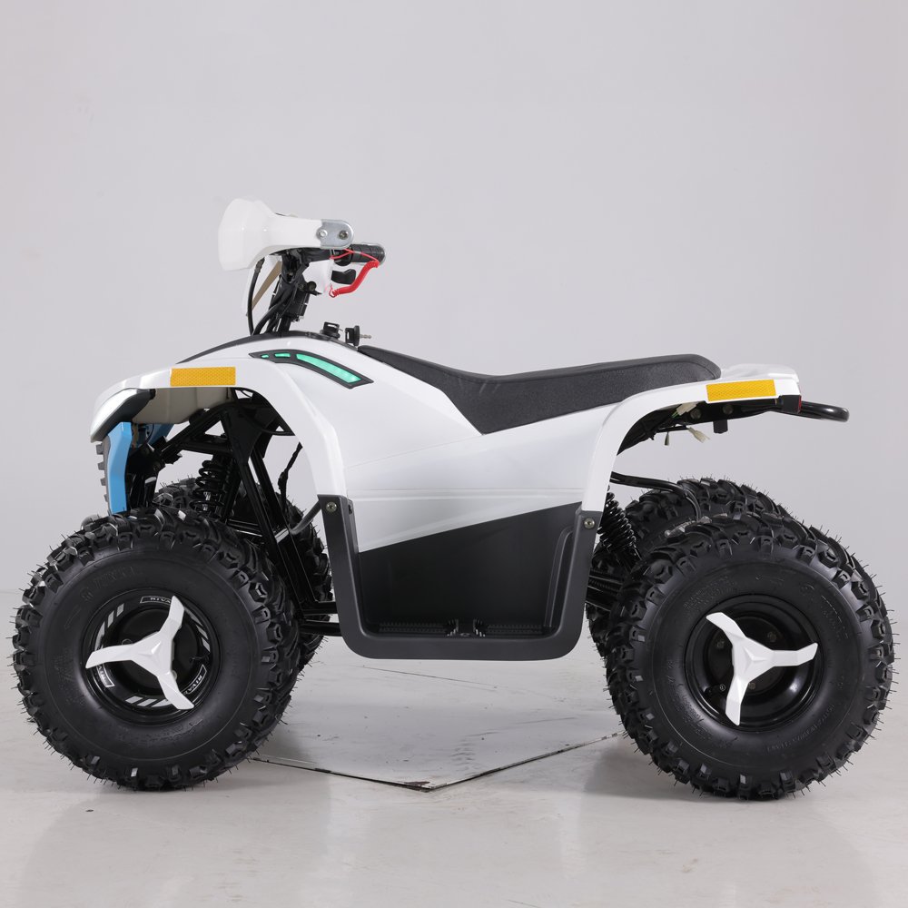 Tao Motor 2023 Latest Design 48V 1600W Teenage Kids ATV Electric