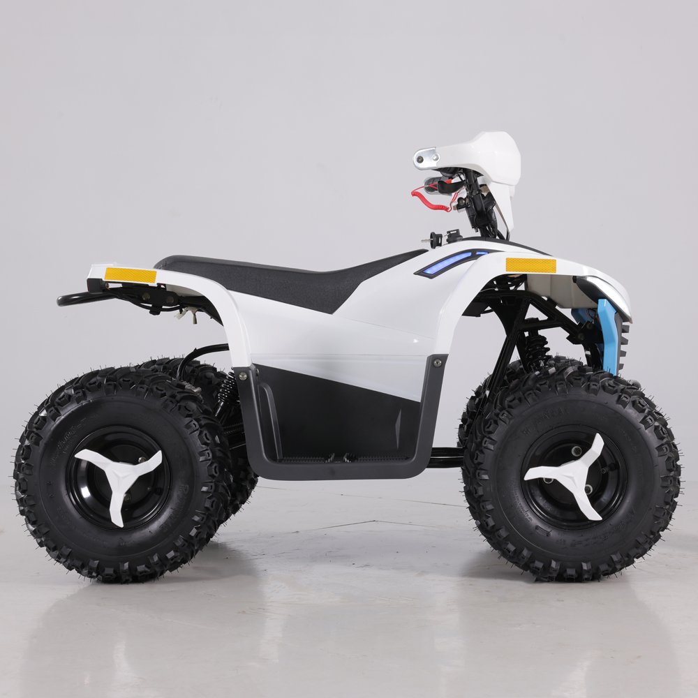 Tao Motor 2023 Latest Design 48V 1600W Teenage Kids ATV Electric