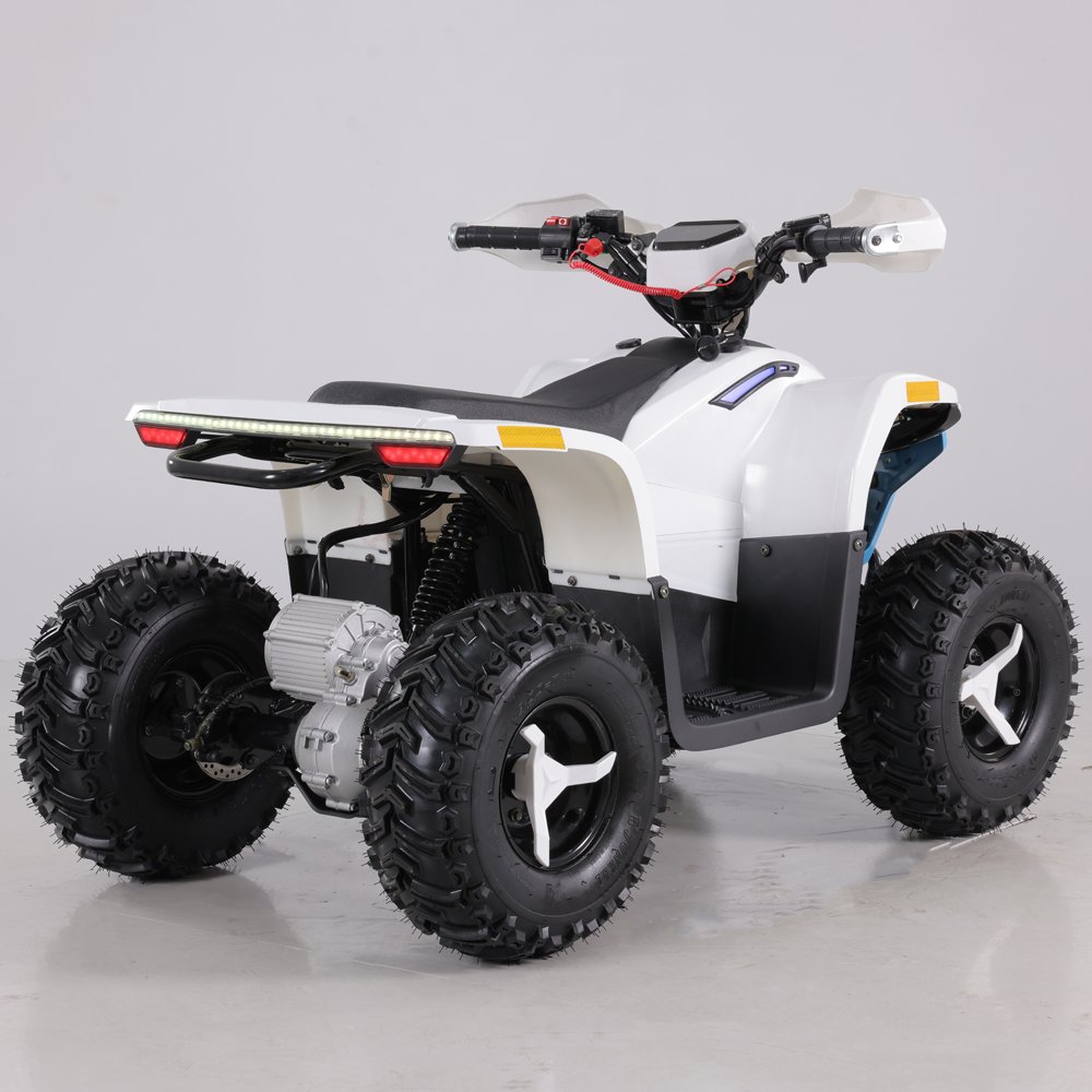 Tao Motor 2023 Latest Design 48V 1600W Teenage Kids ATV Electric