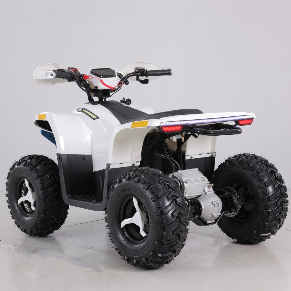 Tao Motor 2023 Latest Design 48V 1600W Teenage Kids ATV Electric