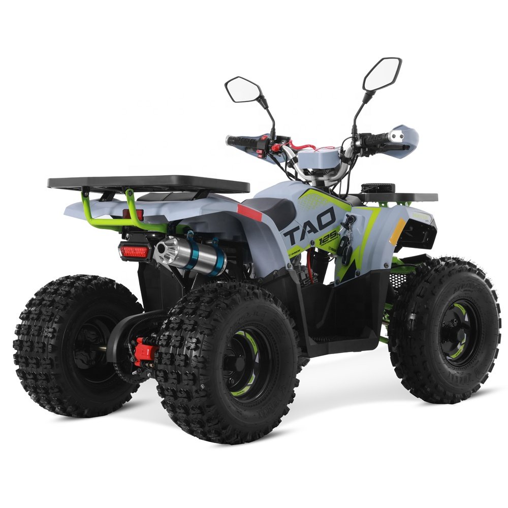 Tao Motor 2024 Off-road Farm Cheap A Gas Powered Cuatrimoto Quadricycle Automatic 4 stroke engine 125cc ATV for Kids