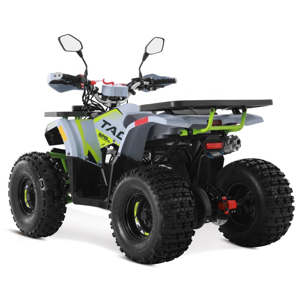 Tao Motor 2024 Off-road Farm Cheap A Gas Powered Cuatrimoto Quadricycle Automatic 4 stroke engine 125cc ATV for Kids