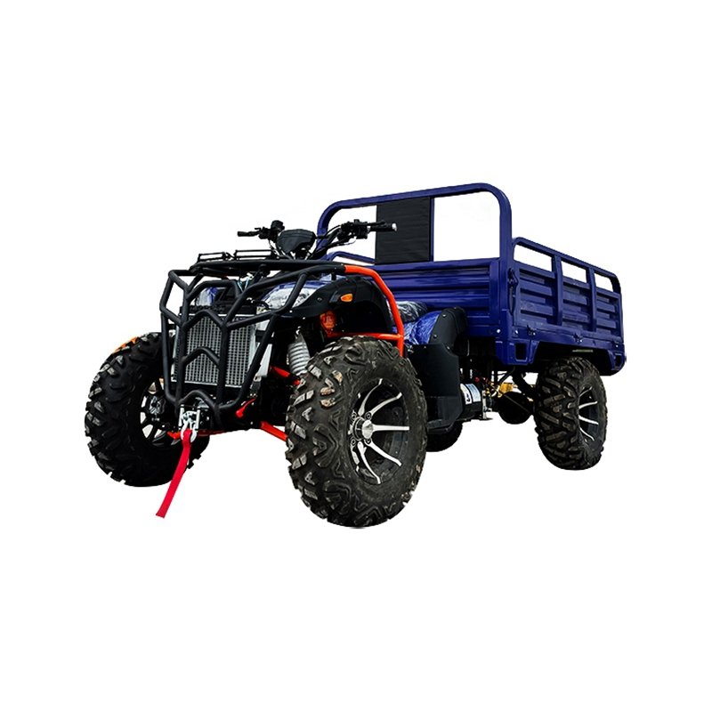 Hot Selling Good Quality 4x4 Farmer Farm Quad Atv