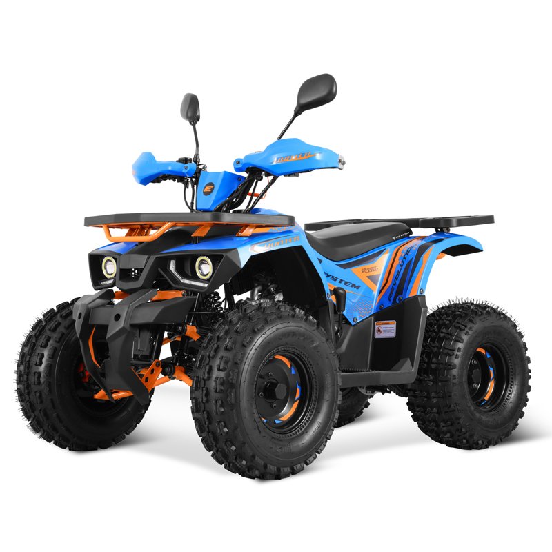 Tao Motor 2024 New EFI Electronic Fuel Injection ATV 125 Cheap Chinese Automatic with Reverse Chain Drive Farm ATV 125cc ATV