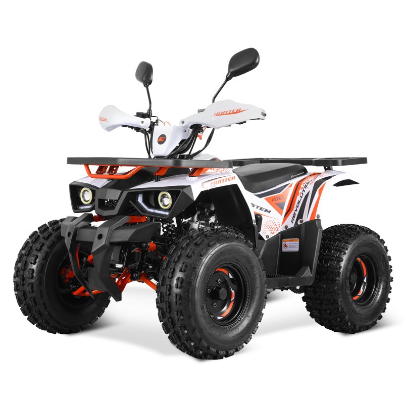 Tao Motor New EFI Electronic Fuel Injection ATV 125 Cheap Chinese Automatic with Reverse Chain Drive Farm ATV 125cc ATV