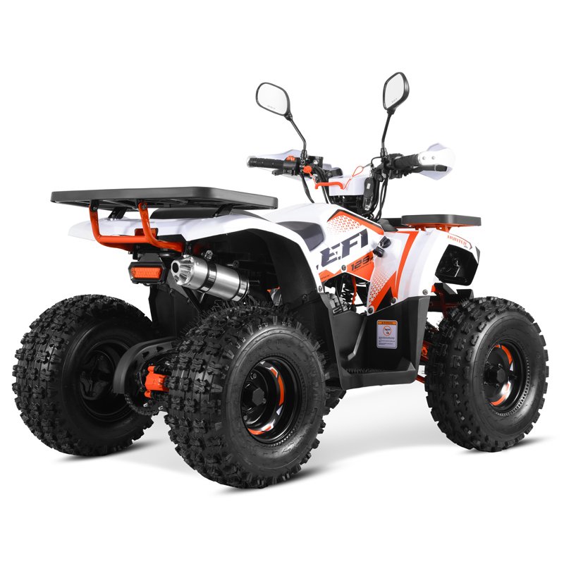 Tao Motor New EFI Electronic Fuel Injection ATV 125 Cheap Chinese Automatic with Reverse Chain Drive Farm ATV 125cc ATV