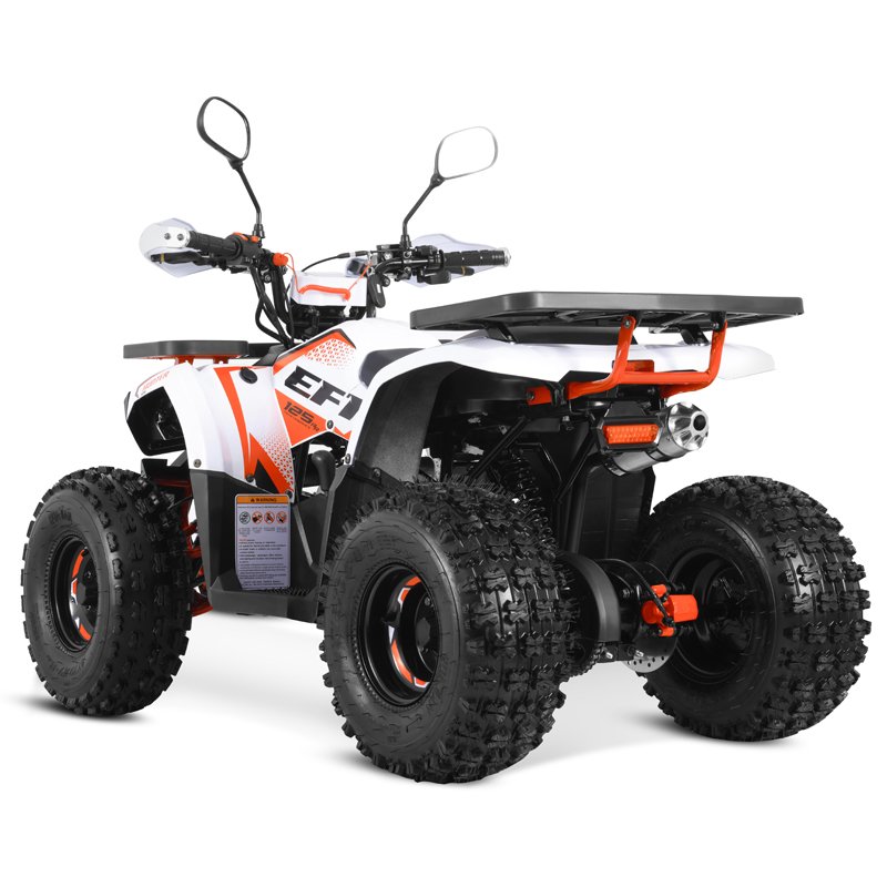Tao Motor New EFI Electronic Fuel Injection ATV 125 Cheap Chinese Automatic with Reverse Chain Drive Farm ATV 125cc ATV