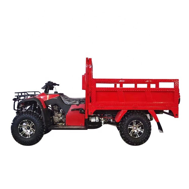 300cc hot sales bajaj model motor tricycle atv truck in africa