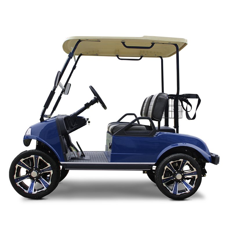 HDK EV Utility Vehicle Mini Buggy golf-rack Trolley UTV ATV Scooter 2 Seats 48V Club Car Gokart Electric Golf Cart