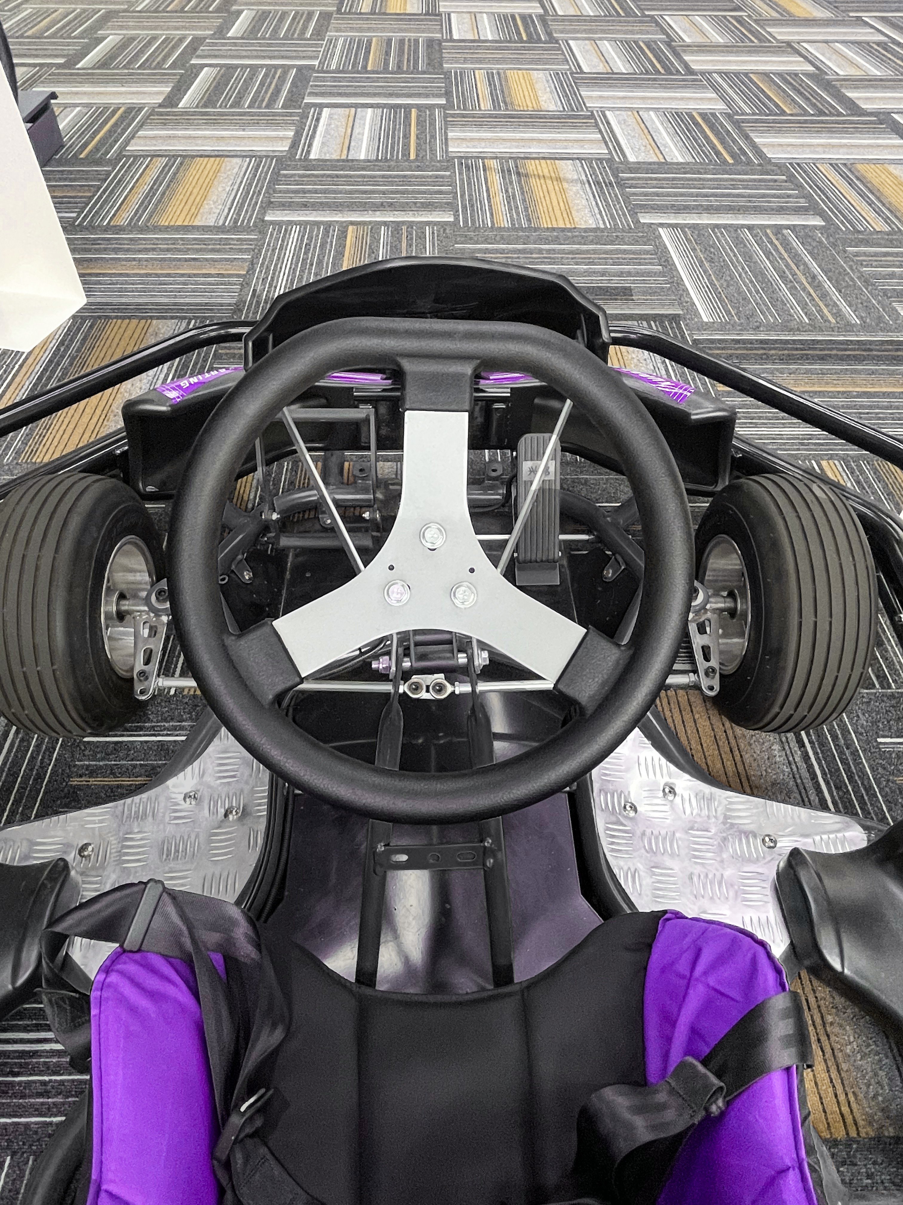 2024 New Design Hot High-Performance 200CC Gasoline Go Kart Professional Racing Karting With Rear Wheel Drive And Honda Engine