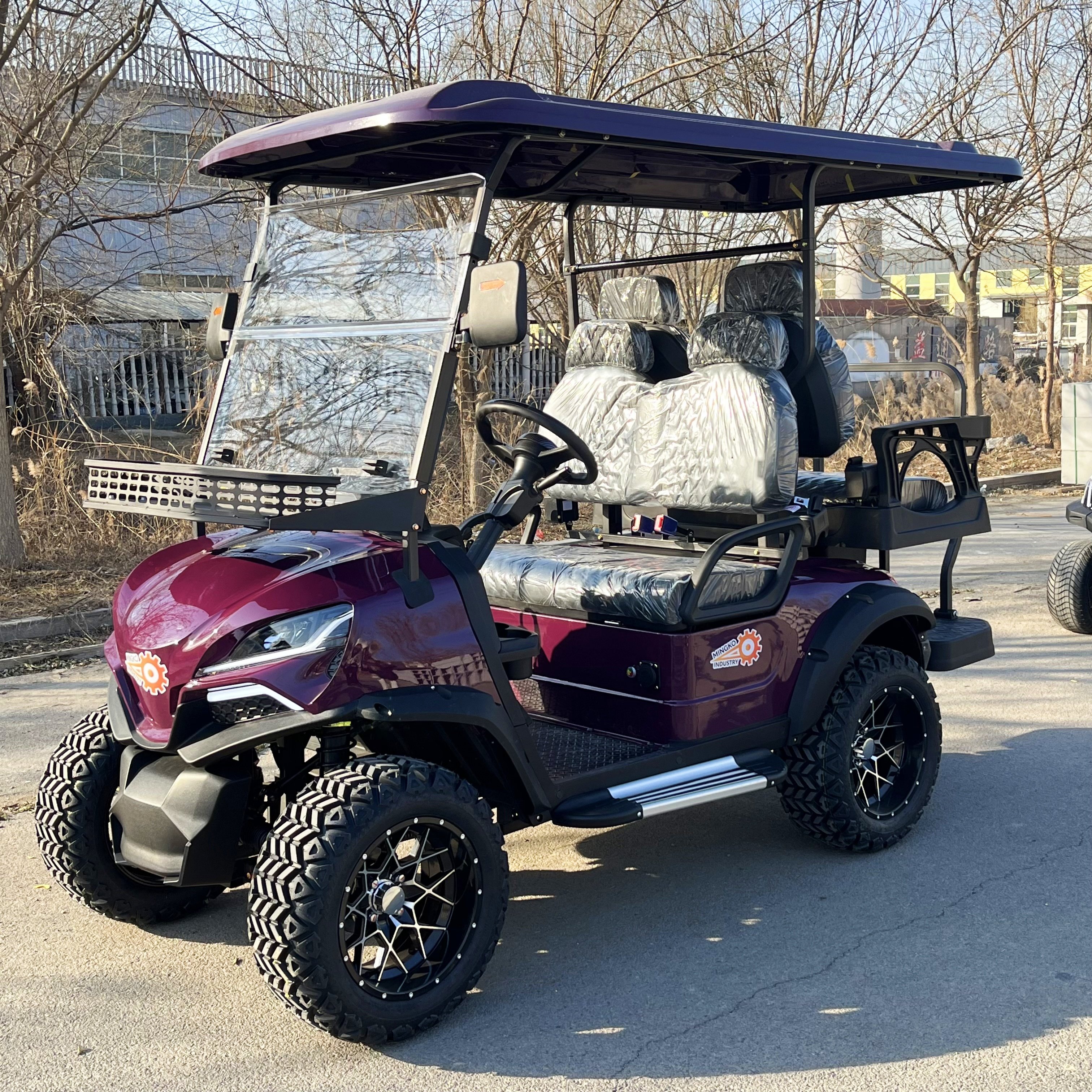 New Energy Mini Electric Vehicle Cars Golf Cart Small Buggy Lifted Electric Golf Car Sightseeing Bus from China