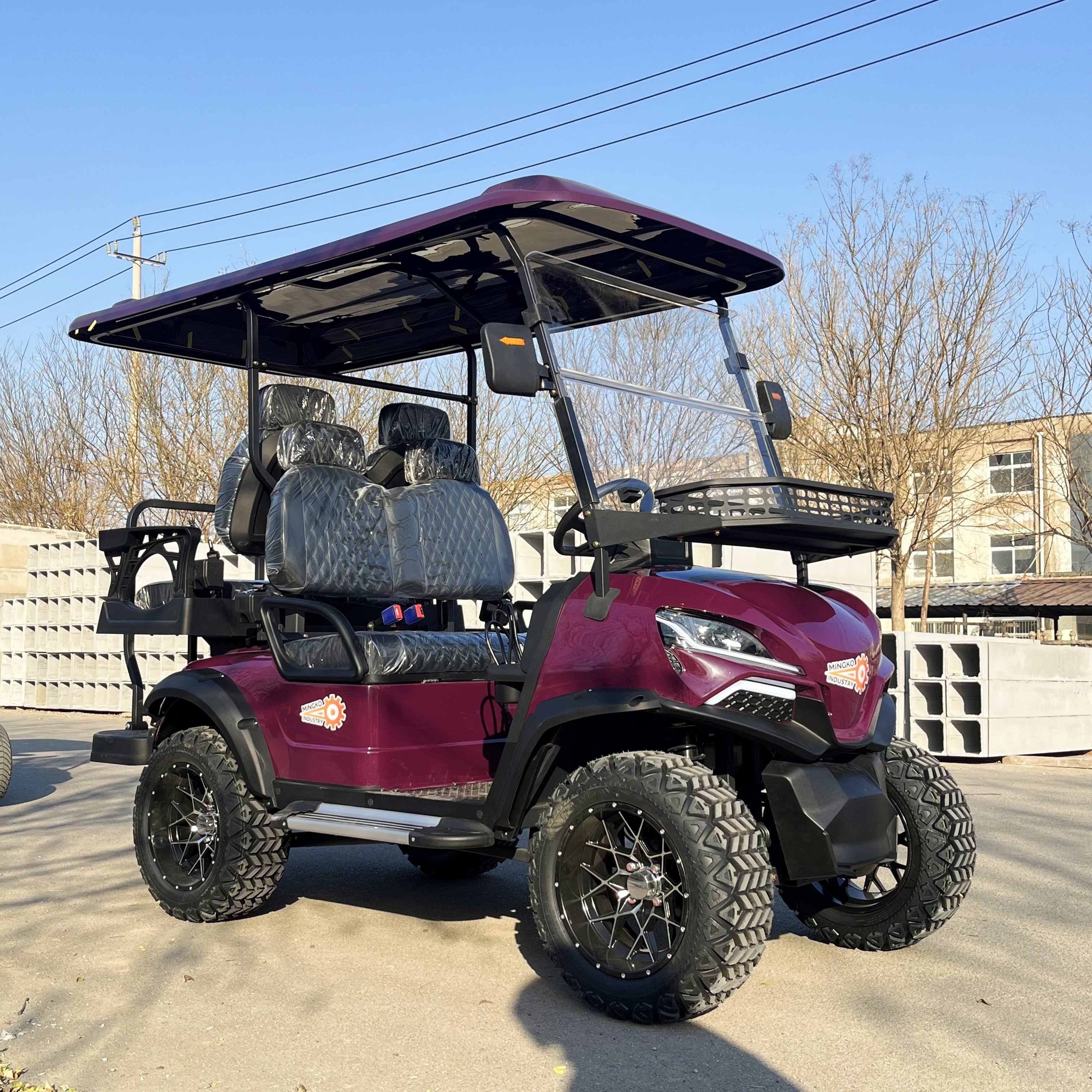 New Energy Mini Electric Vehicle Cars Golf Cart Small Buggy Lifted Electric Golf Car Sightseeing Bus from China