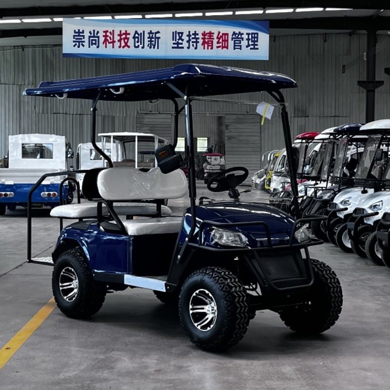 2025 New 4 Person Electric Golf Cart 5KW Lithium Battery 4 Wheel Electric Golf Cart Scooter