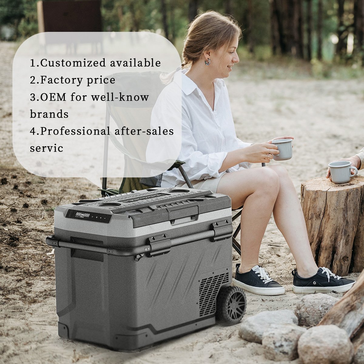 Alpicool ZGW41 Portable Electronic Control Cooler Camping Car Fridges 12V Dual Use Freezer AC DC Refrigerator