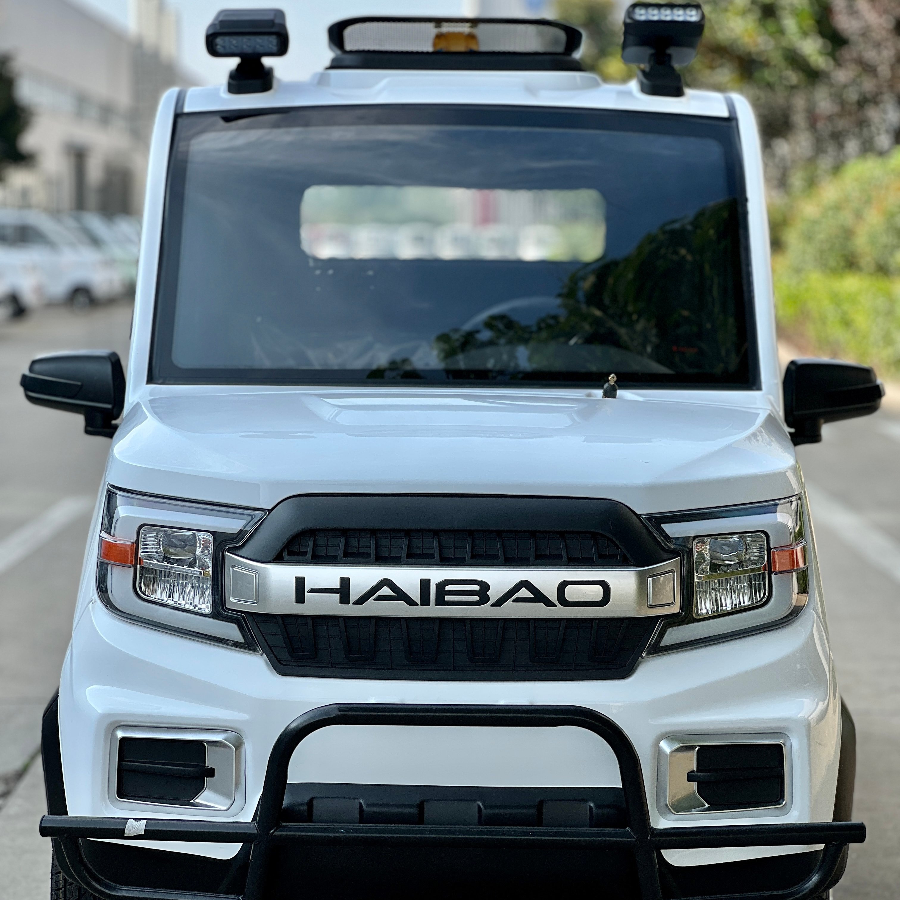 Electric Four-wheeler Pickup Truck Adult Travel Truck Home Electric Car Load up