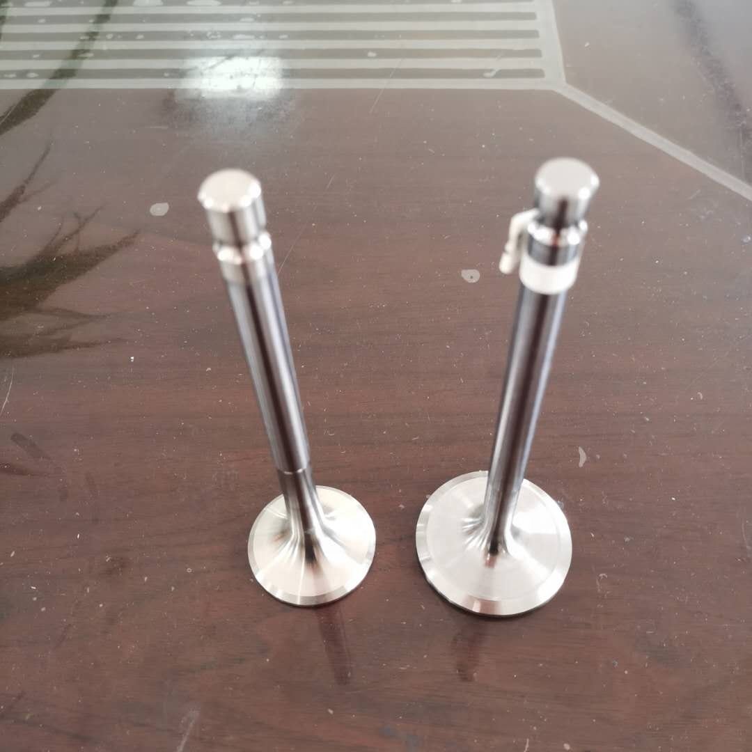 DSC11 Engine Valve 294674 352347 Used for scania 112 113 diesel Engine for Sale