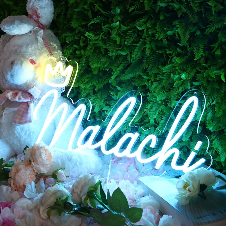 Indoor Outdoor Advertising Custom LED DC 12V Flex Neon Light Logo Sign for Building Decoration Room Sign Maker