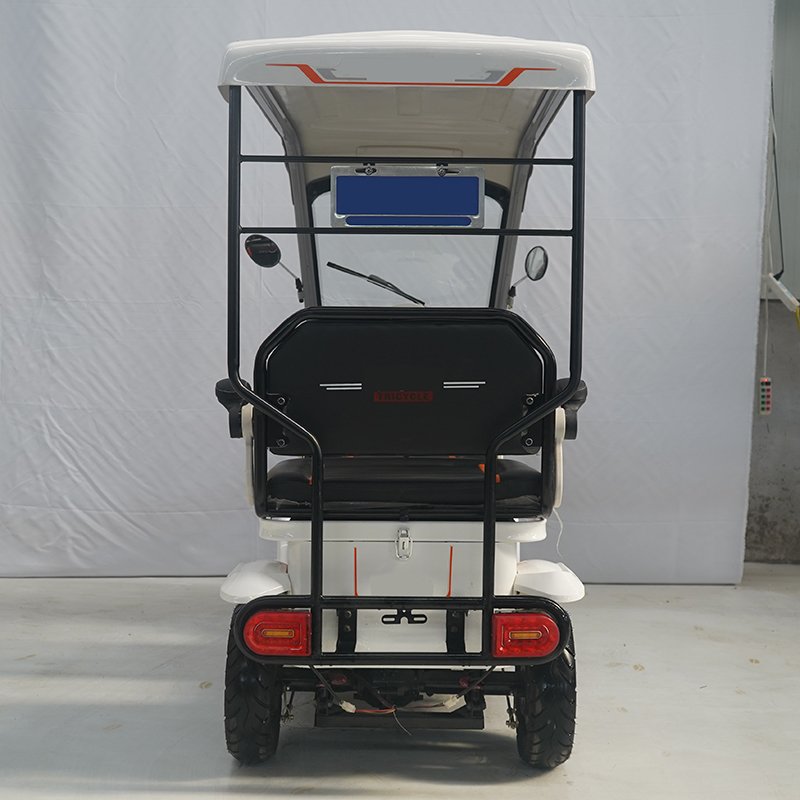 Four Seats Mini Electric Tourist Bus with Canopy Electric Sightseeing Vehicle for Passenger