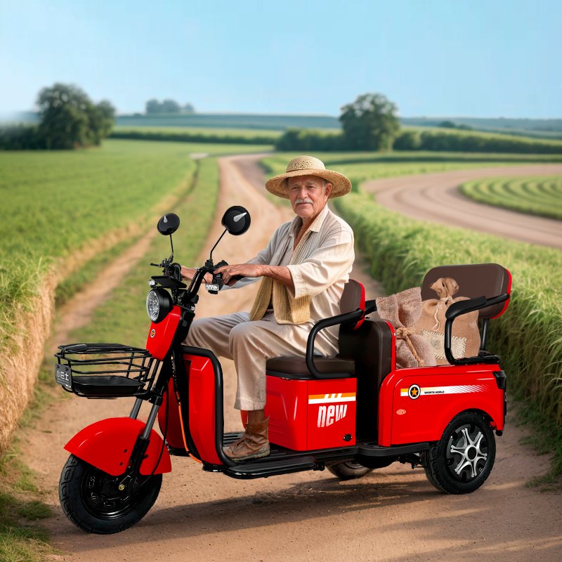 MINIBUSEV A9 Electric Tricycle Family Small Elderly Mobility Scooter to Pick up Children for the Elderly Special Battery Car