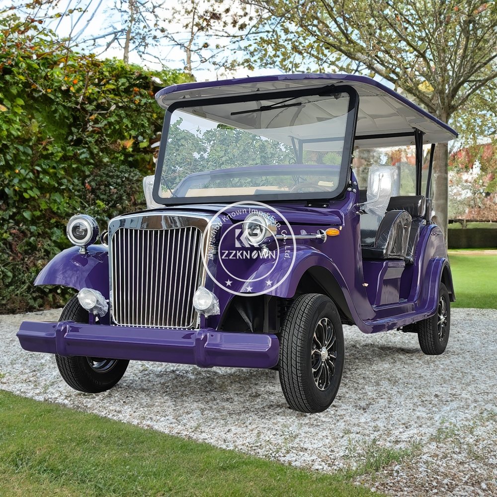 2025 Good Price Vintage Classic Travel Sightseeing Bus Electric Classic Car For Sale