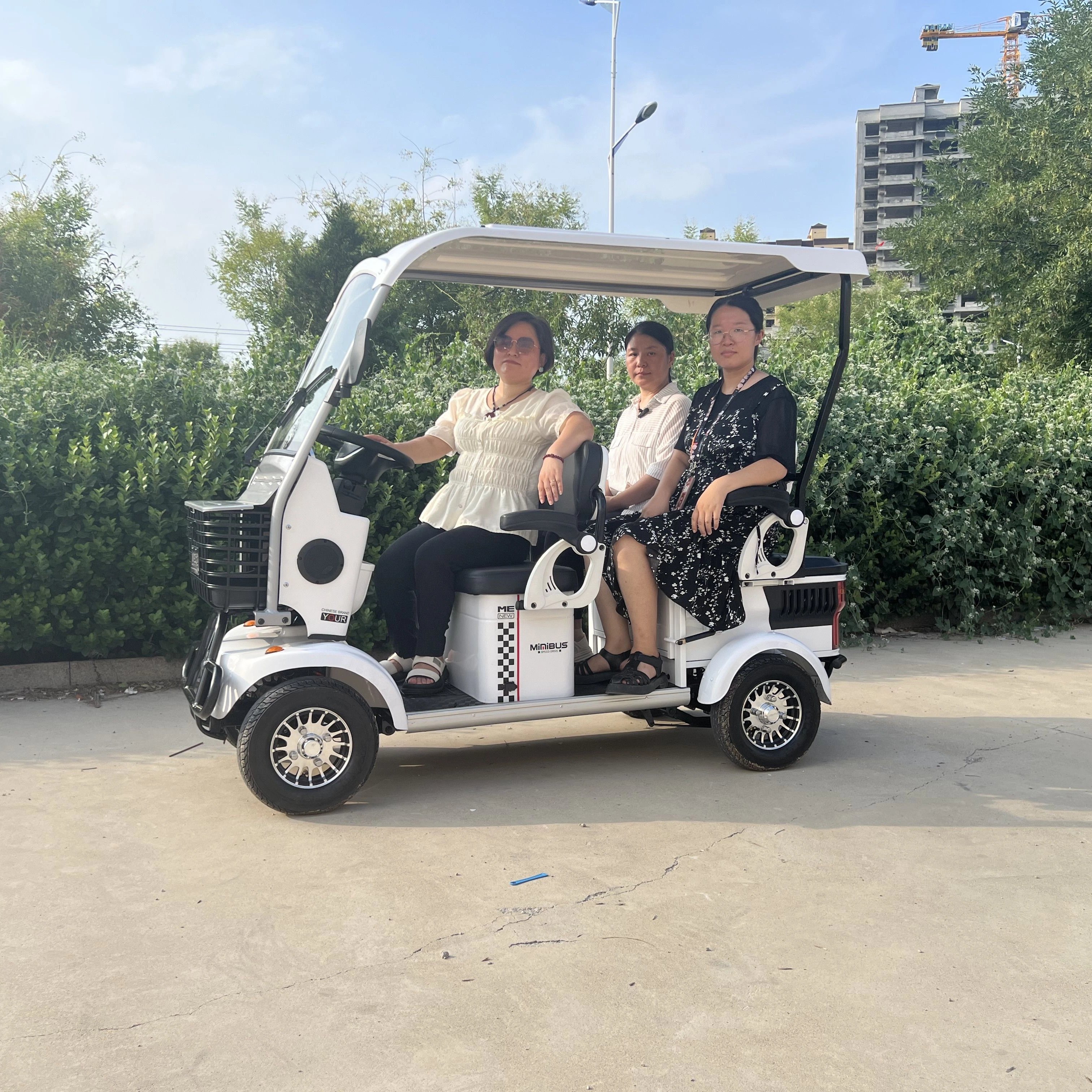 Factory Sale Sightseeing Bus Electric Vehicles 1200w Brushless Motor Customized 4 Seat Rental Business