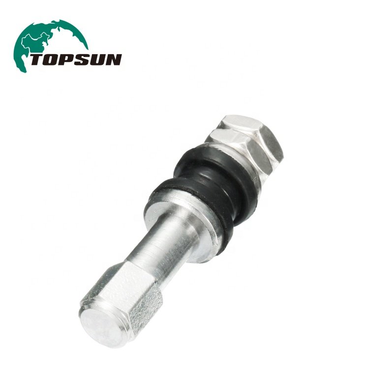Topsun Car Tyre Valve Tubeless Clamp in Tire Valve TR-43E Wheel Tire Valve