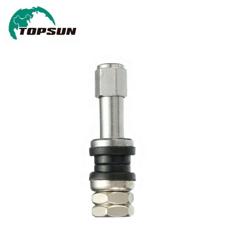 Topsun Car Tyre Valve Tubeless Clamp in Tire Valve TR-43E Wheel Tire Valve