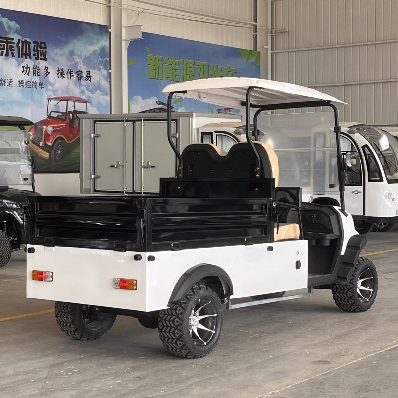 Hot Sale 1500W Double Seat Ebike 4 Wheel Electric Mobility Scooter City Electric Golf Cart