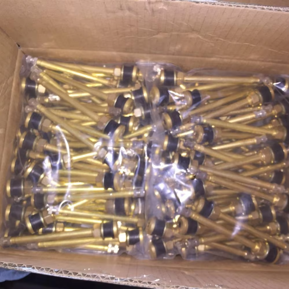 Essential Auto Parts Tubeless Tire Valves TR573 TR573 New Condition Wheel Parts for Trucks and Buses with 15.9mm Hole
