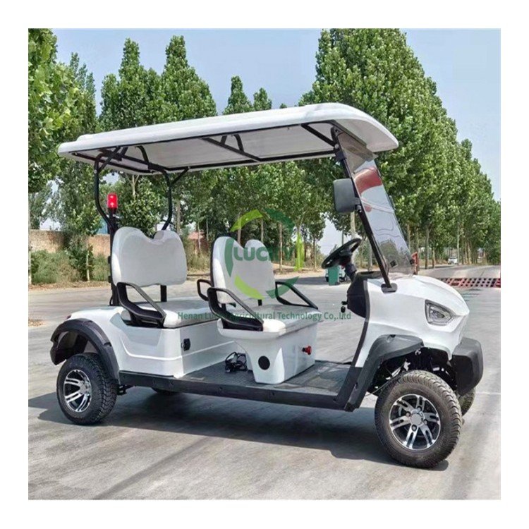 High Quality Solar Marine Ev Batteries Power Pack Motorized Foldable Push Gasoline Engine Golf Cart