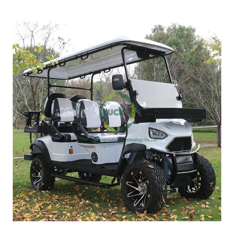 High Quality Solar Marine Ev Batteries Power Pack Motorized Foldable Push Gasoline Engine Golf Cart