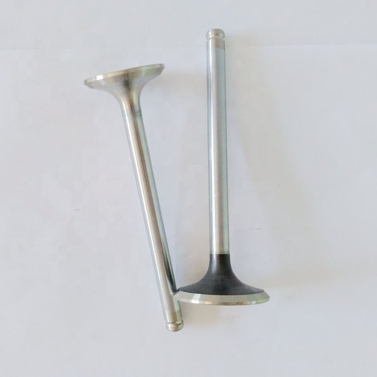 XUD9 D9B A9A Engine Parts 094859 0949.60 LGH10051 LGH10054 Usde for TATA Safari SIERRA 2.0TD Engine Valve