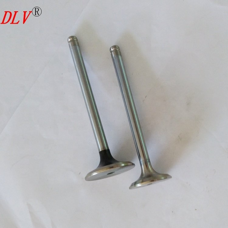 XUD9 D9B A9A Engine Parts 094859 0949.60 LGH10051 LGH10054 Usde for TATA Safari SIERRA 2.0TD Engine Valve