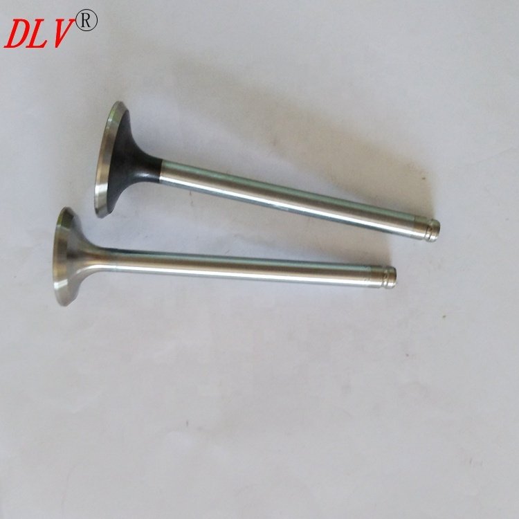 XUD9 D9B A9A Engine Parts 094859 0949.60 LGH10051 LGH10054 Usde for TATA Safari SIERRA 2.0TD Engine Valve